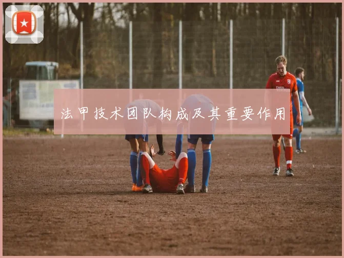 法甲技术团队构成及其重要作用