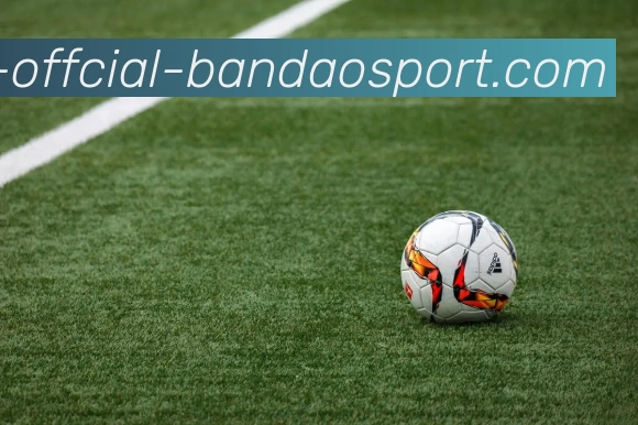 半岛体育平台生态图