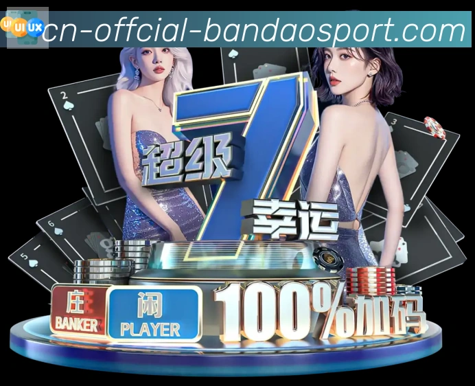 未来规划