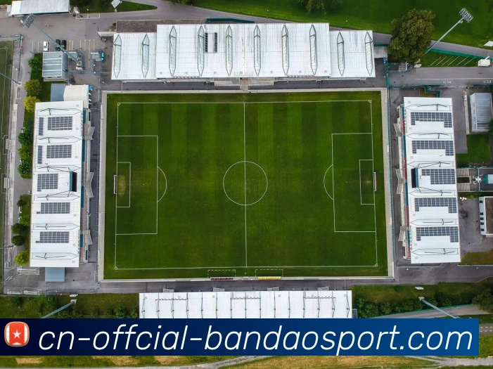 半岛体育APP 封面图